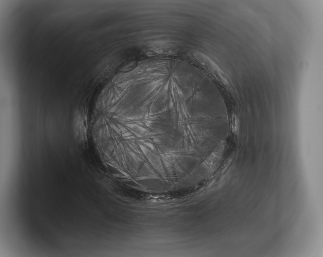 X0000101950915200807251131