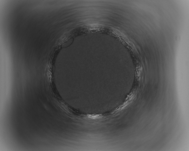 X0000101950916200807251131