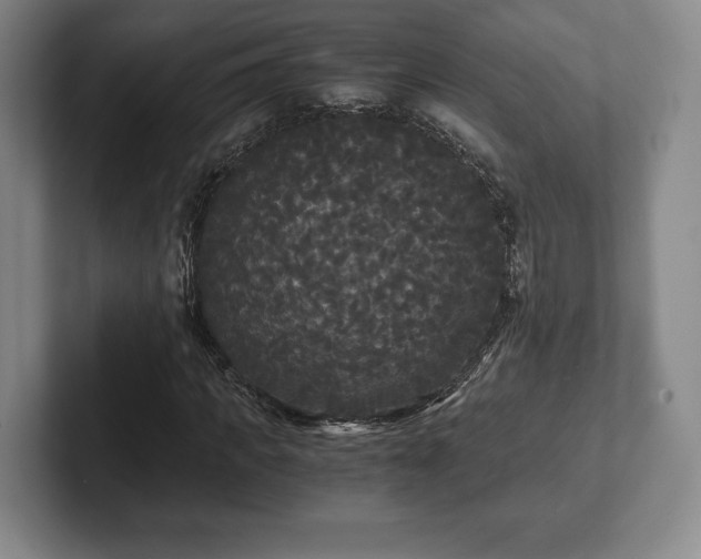 X0000101950917200807251131