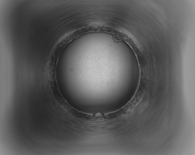 X0000101950919200807251131