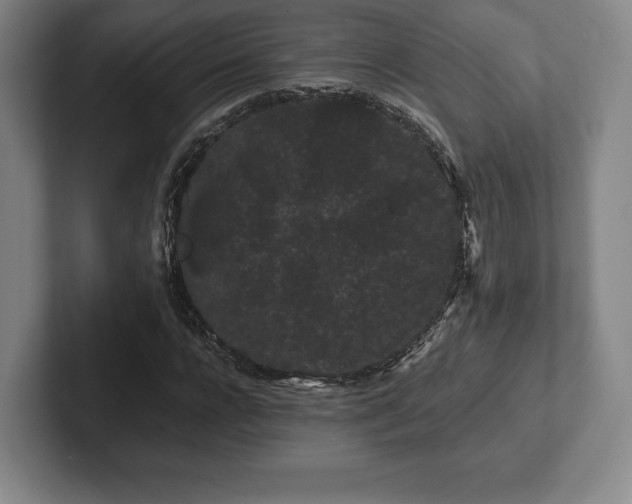 X0000101950920200807251131