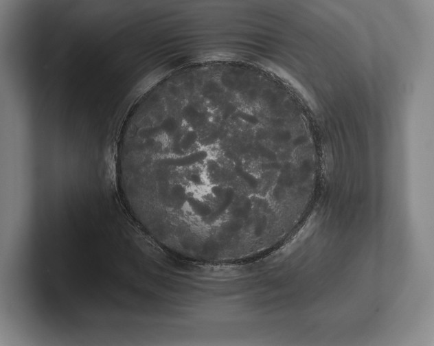 X0000101950921200807251131