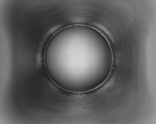 X0000101950922200807251131