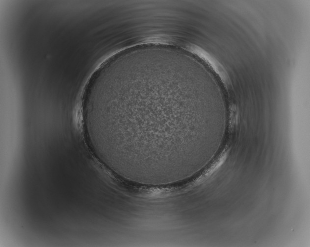 X0000101950923200807251131