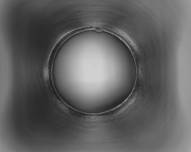 X0000101950924200807251131