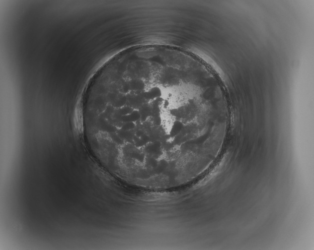 X0000101950925200807251131