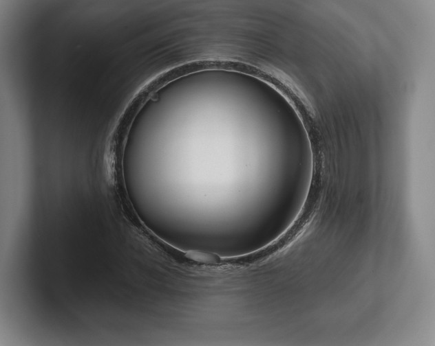 X0000101950926200807251131