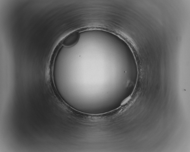 X0000101950928200807251131