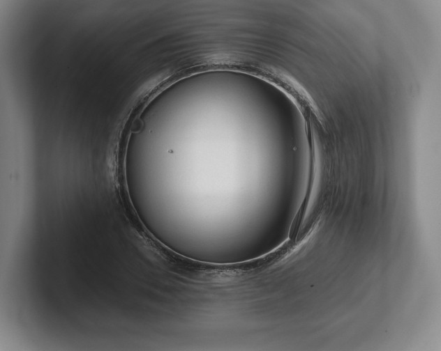 X0000101950930200807251131