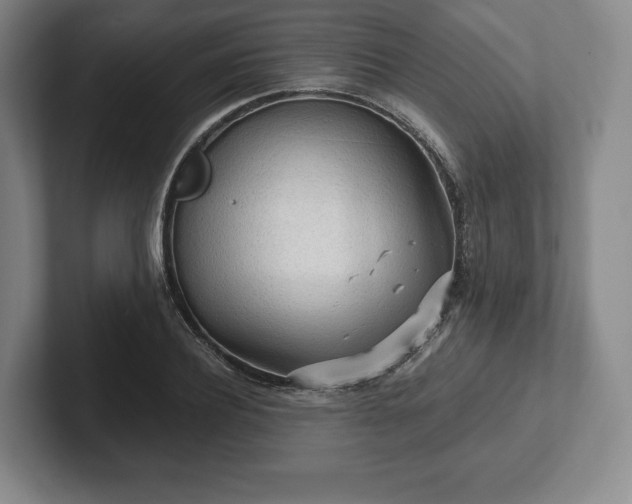 X0000101950932200807251131