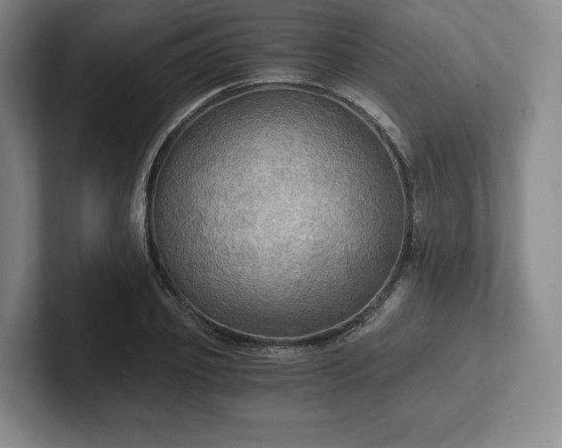 X0000101950933200807251131