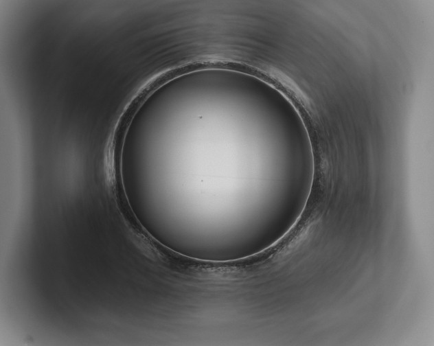 X0000101950934200807251131