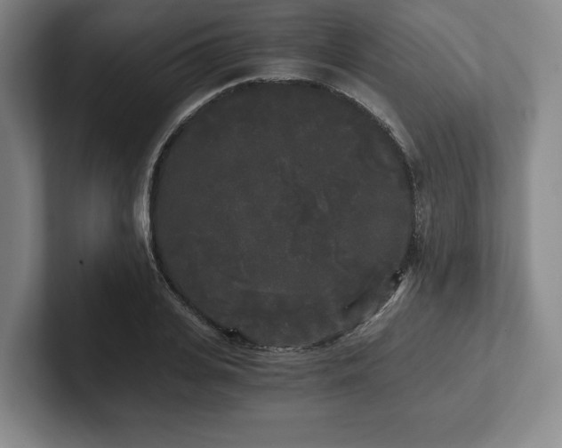 X0000101950935200807251131