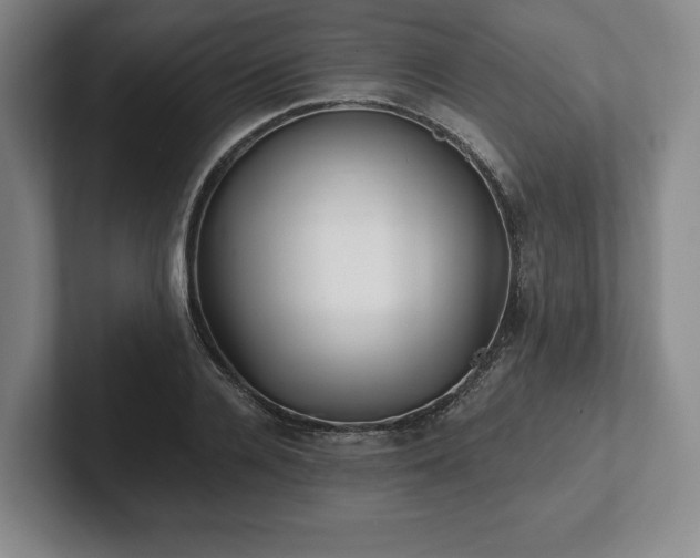 X0000101950936200807251131