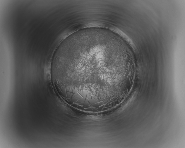 X0000101950937200807251131