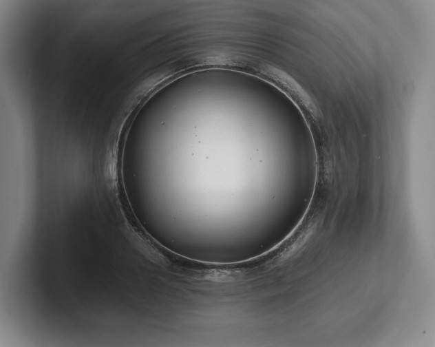 X0000101950938200807251131