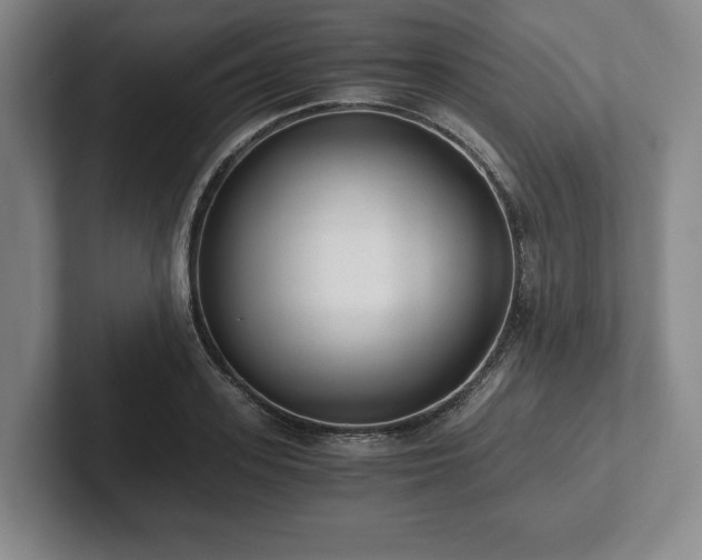 X0000101950939200807251131