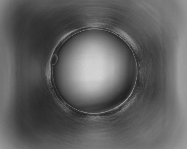 X0000101950940200807251131