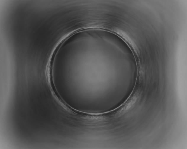 X0000101950941200807251131