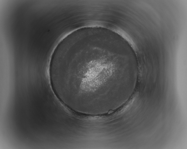 X0000101950943200807251131