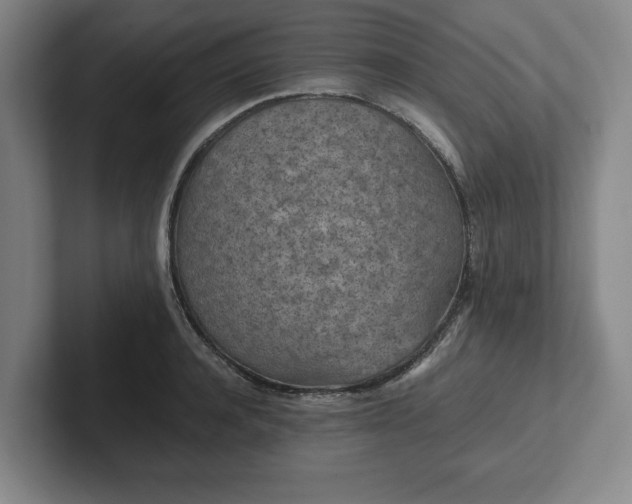 X0000101950944200807251131