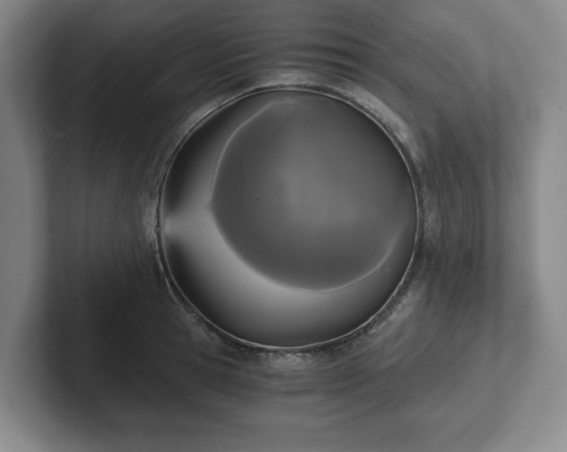 X0000101950945200807251132