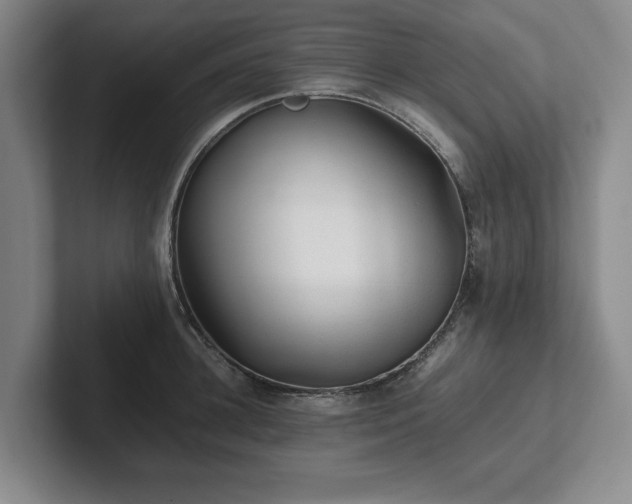 X0000101950948200807251132