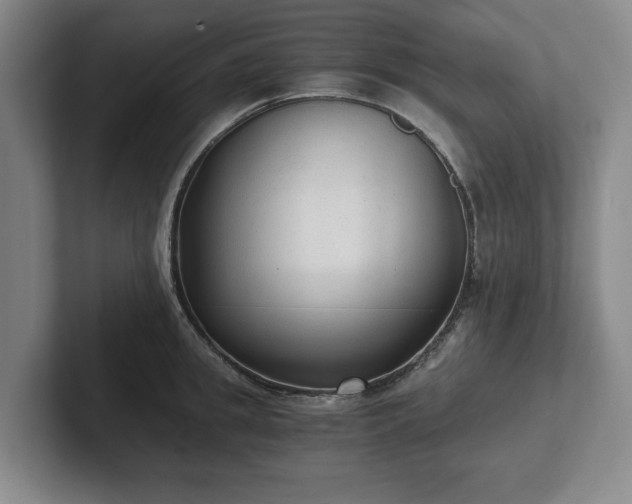 X0000101950949200807251132