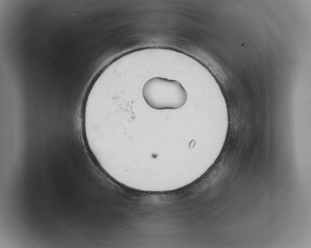 X0000101950950200807251132