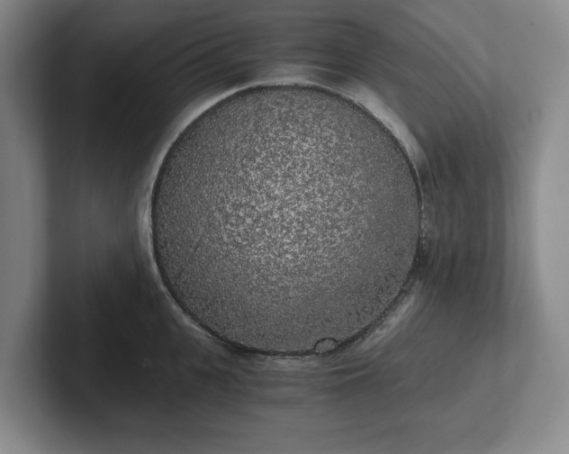 X0000101950951200807251132