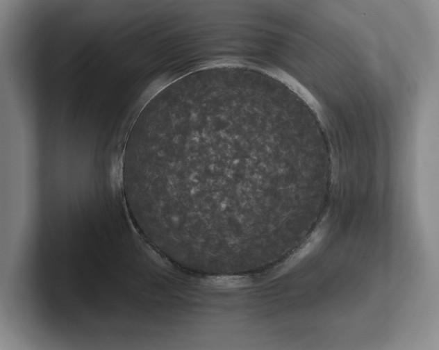 X0000101950953200807251132