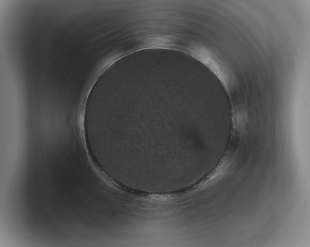 X0000101950954200807251132