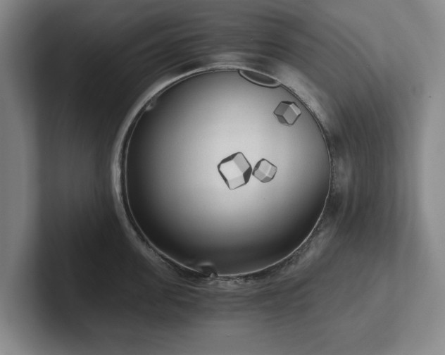X0000101950955200807251132