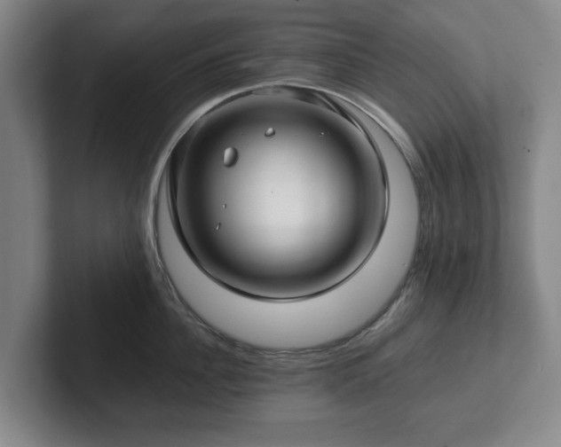 X0000101950956200807251132