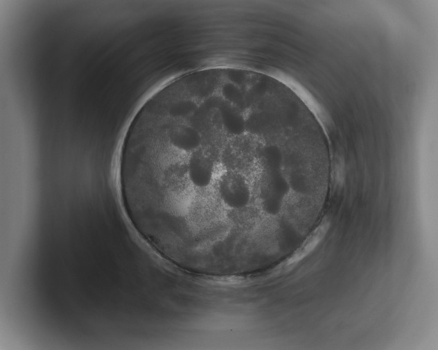 X0000101950957200807251132