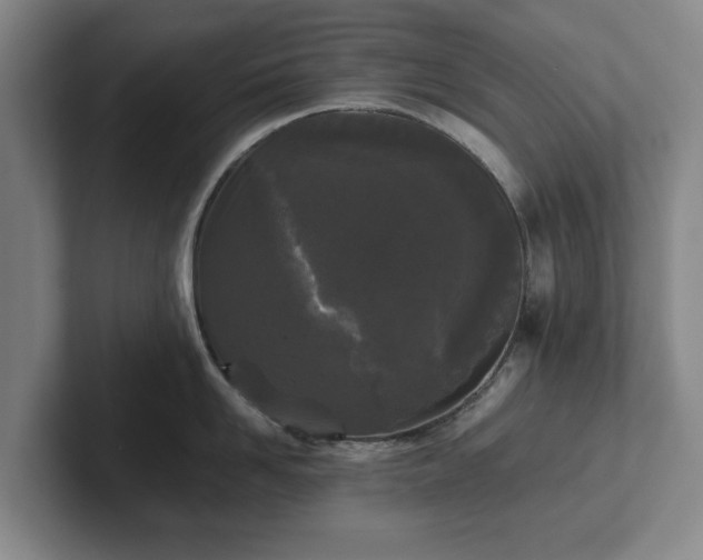 X0000101950958200807251132