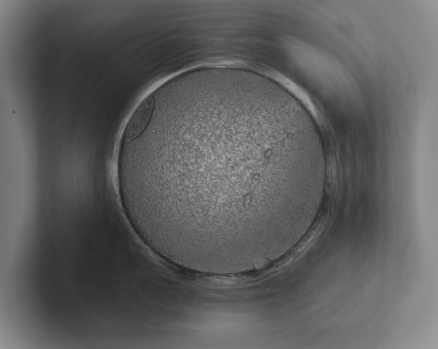 X0000101950959200807251132