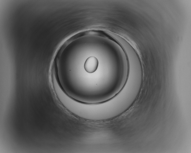 X0000101950960200807251132