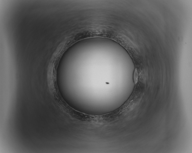 X0000101950961200807251131