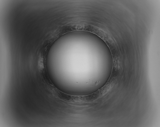 X0000101950962200807251131