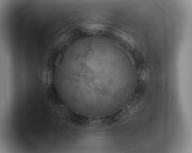 X0000101950965200807251131