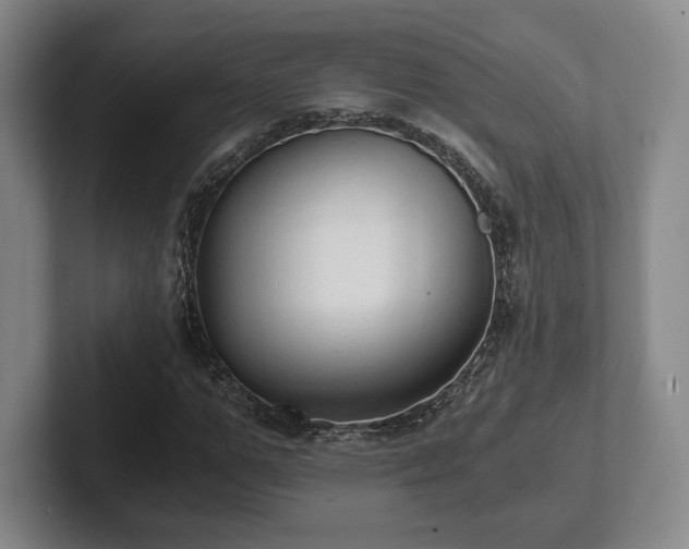 X0000101950967200807251131