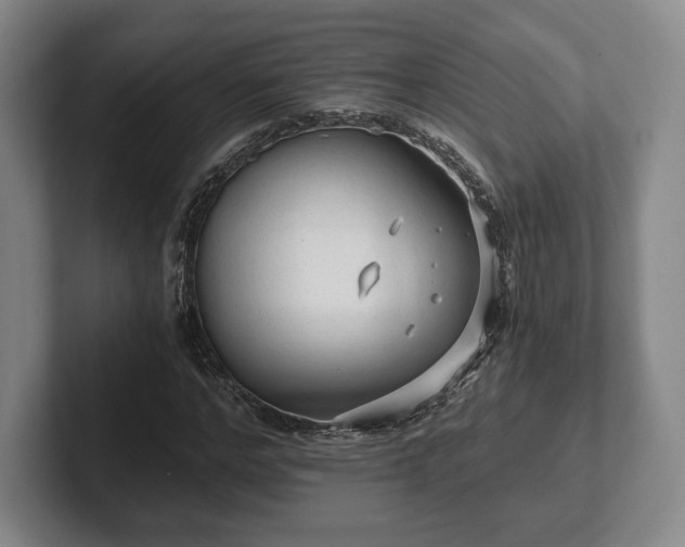 X0000101950968200807251131