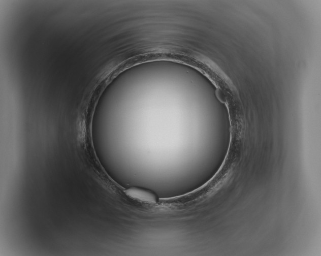 X0000101950969200807251131