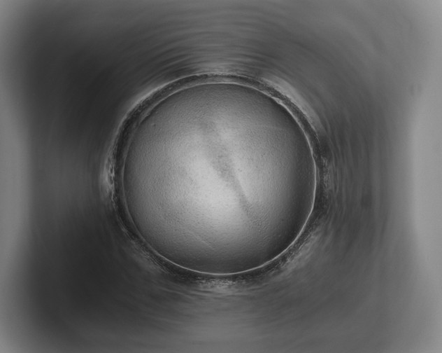 X0000101950971200807251131