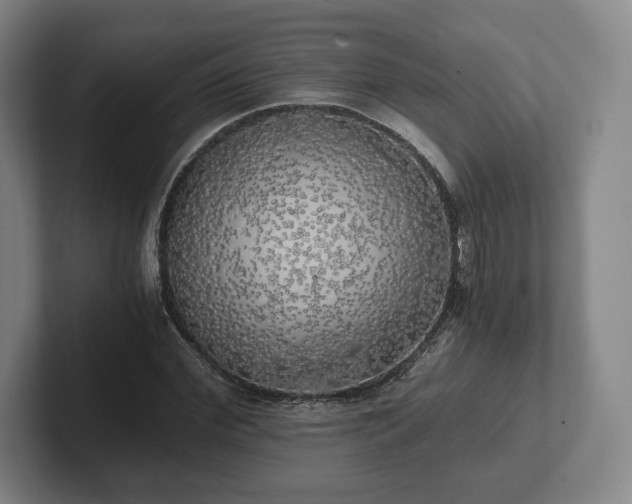 X0000101950972200807251131