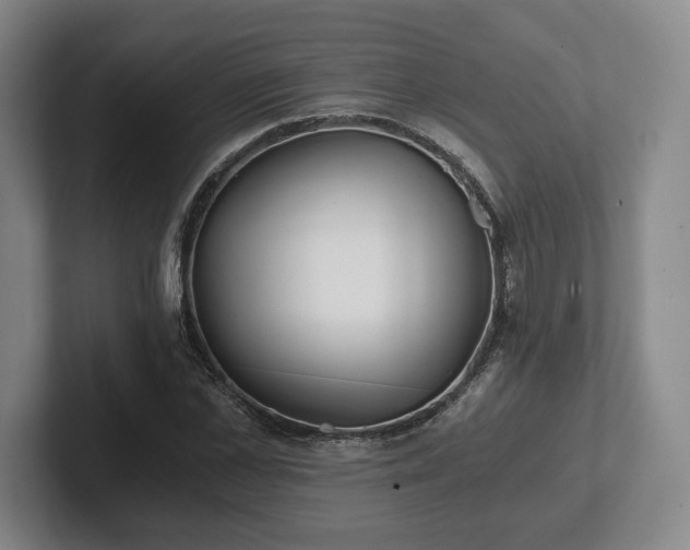 X0000101950973200807251131