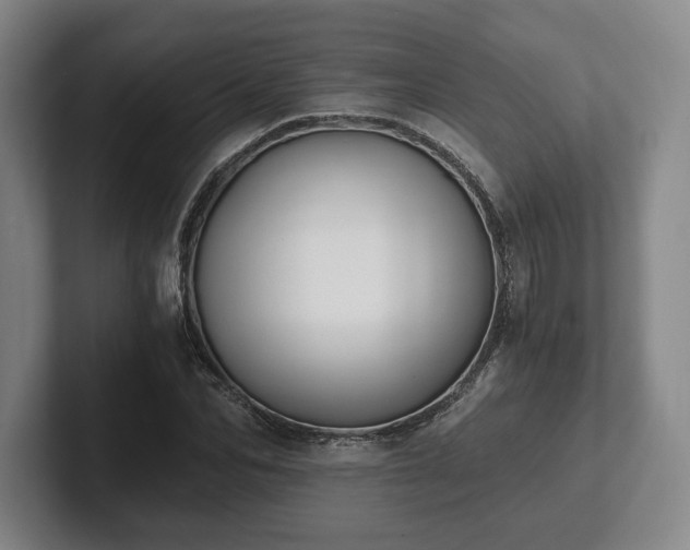 X0000101950974200807251131