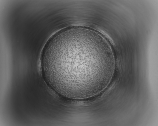 X0000101950976200807251131