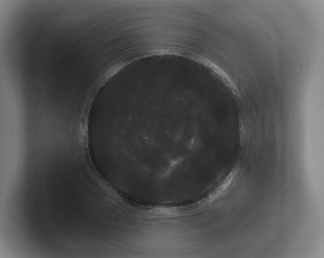 X0000101950977200807251131